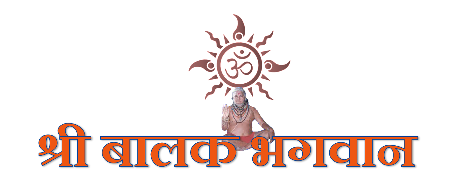 Orange flag icon bhagwa zenda Royalty Free Vector Image